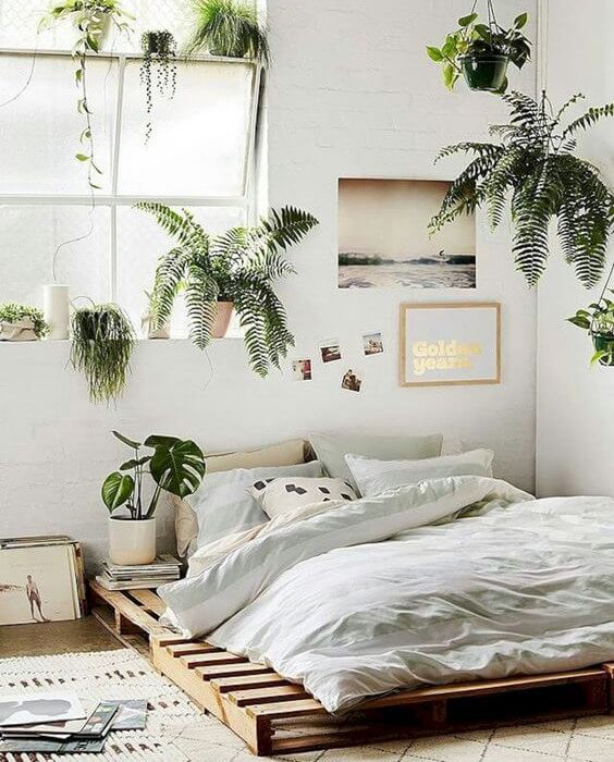 plantas-dormitorio
