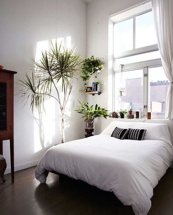 plantas-dormitorio1